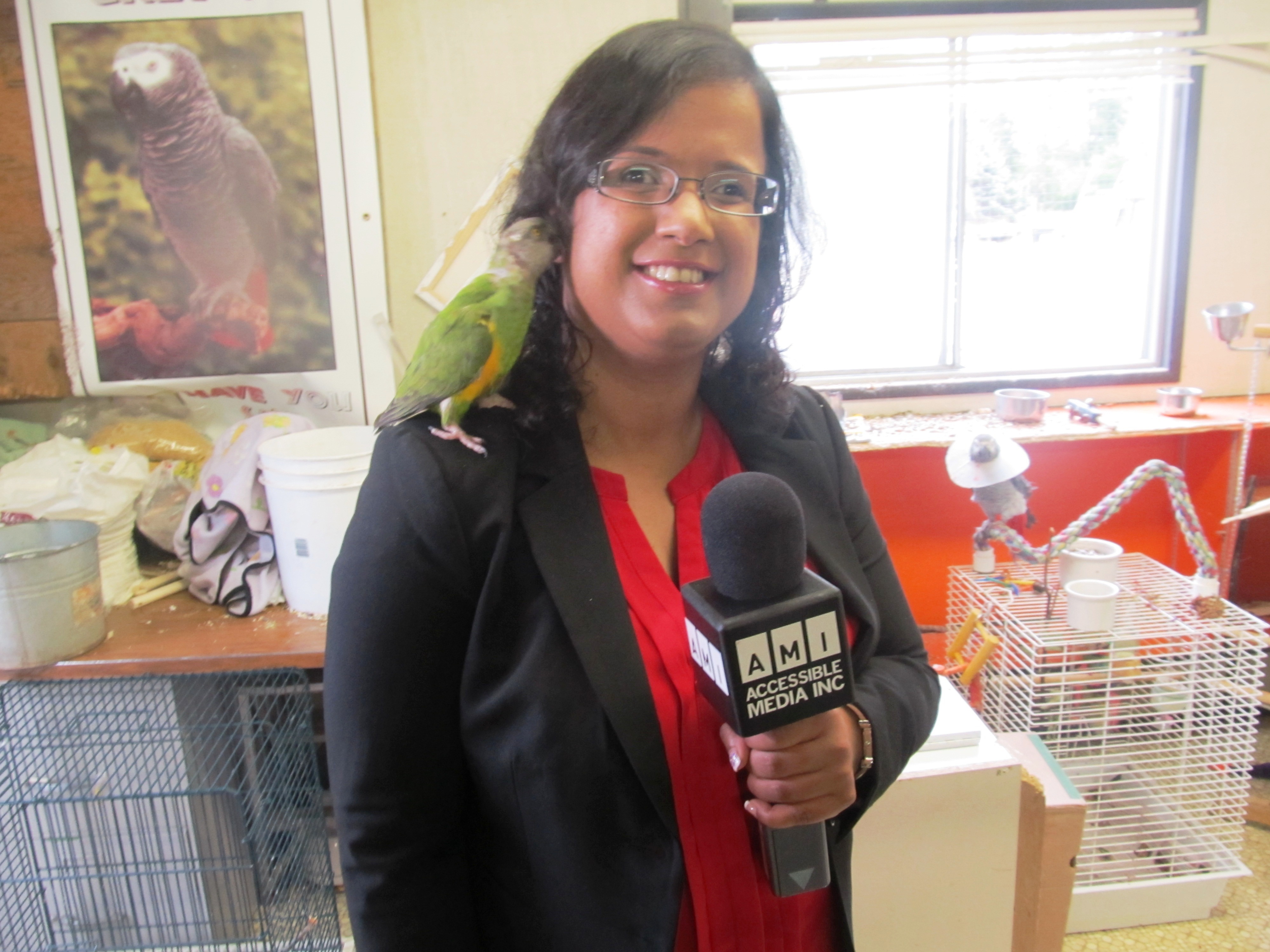 Kristy with little green Romeo on her shoulder